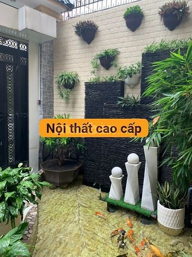 mặt tiền kinh doanh Đội Cung Q11 ( 3.2 *15.6) 6.5 Lầu giá rẻ 11 tỷ 58753864 mặt tiền kinh doanh Đội Cung Q11 ( 3.2 *15.6) 6.5 Lầu giá rẻ 11 tỷ