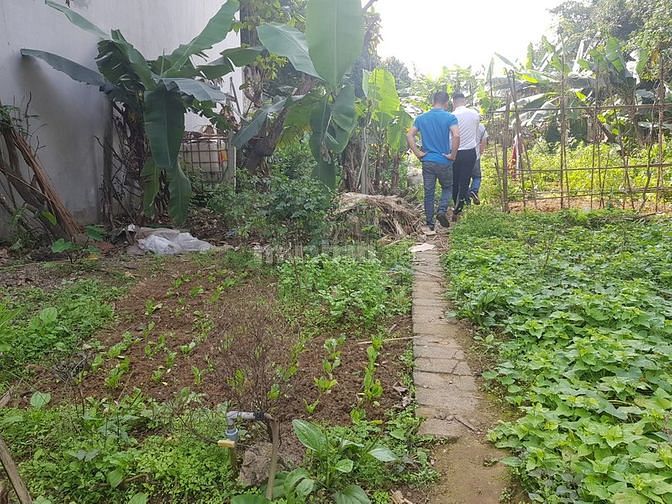 Bán gấp lô đất 400m2 giá rẻ khu Bê Tông, Xuân Mai, mặt tiền 10m 58764242 Bán gấp lô đất 400m2 giá rẻ khu Bê Tông, Xuân Mai, mặt tiền 10m