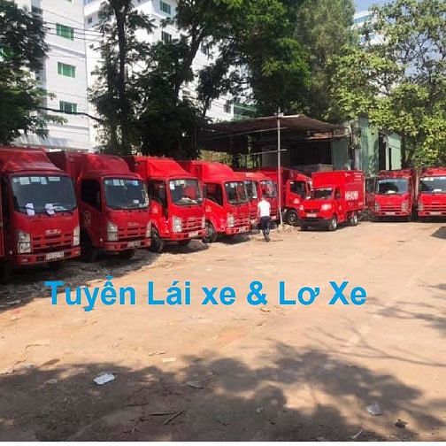 Tuyển 15 Lái Xe + 20 Lơ Xe và 30 Phụ Kho Làm Tại các Quận Huyện TpHCM 58772489 Tuyển 15 Lái Xe + 20 Lơ Xe và 30 Phụ Kho Làm Tại các Quận Huyện TpHCM