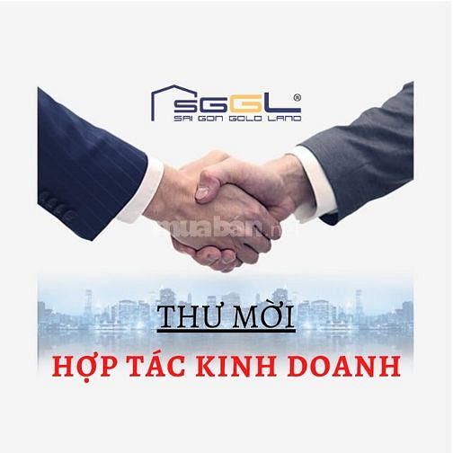 Cần tìm đối tác hợp tác kinh doanh lĩnh vực BĐS 58820339 Cần tìm đối tác hợp tác kinh doanh lĩnh vực BĐS