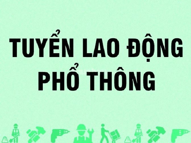 Cần tuyển 5 Nam phụ kho tại Quận Tân Bình 58866044 Cần tuyển 5 Nam phụ kho tại Quận Tân Bình