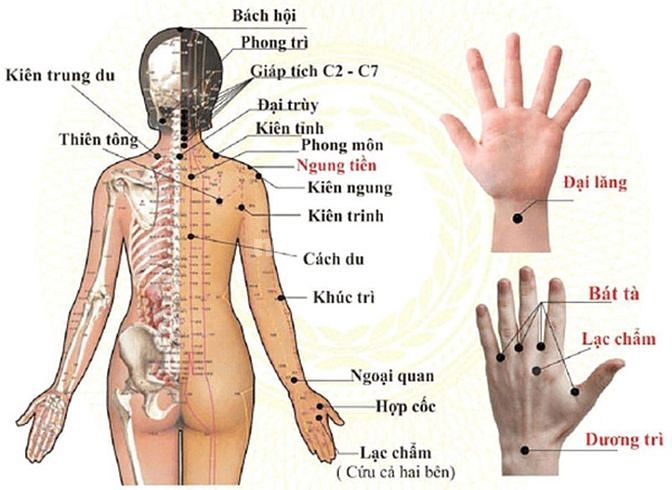 Dịch vụ đến tận nhà Mát xa vùng lingam, Ấn huyệt trị liệu đau nhức mỏi 58906055 Dịch vụ đến tận nhà Mát xa vùng lingam, Ấn huyệt trị liệu đau nhức mỏi