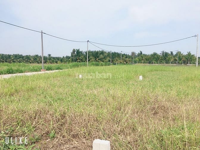 Bán lô góc 2 mặt tiền kinh doanh nhỏ - gần Ql1A - sau chùa thiên huệ. 58903486 Bán lô góc 2 mặt tiền kinh doanh nhỏ - gần Ql1A - sau chùa thiên huệ.