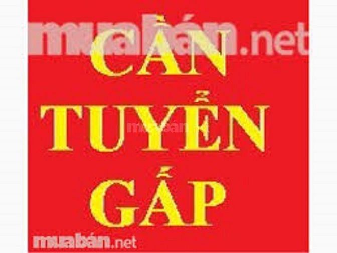 tuyển nữ nhân viên bán hàng vải, nhanh nhẹn, lương khởi điểm 6 triệu 58945728 tuyển nữ nhân viên bán hàng vải, nhanh nhẹn, lương khởi điểm 6 triệu