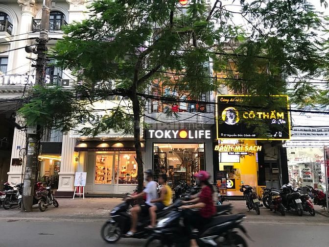 Cho thuê nhà mặt phố Trần Hưng Đạo, gần nhà Hát Lớn, Mt: 9m, DTSD: 200 58963238 Cho thuê nhà mặt phố Trần Hưng Đạo, gần nhà Hát Lớn, Mt: 9m, DTSD: 200