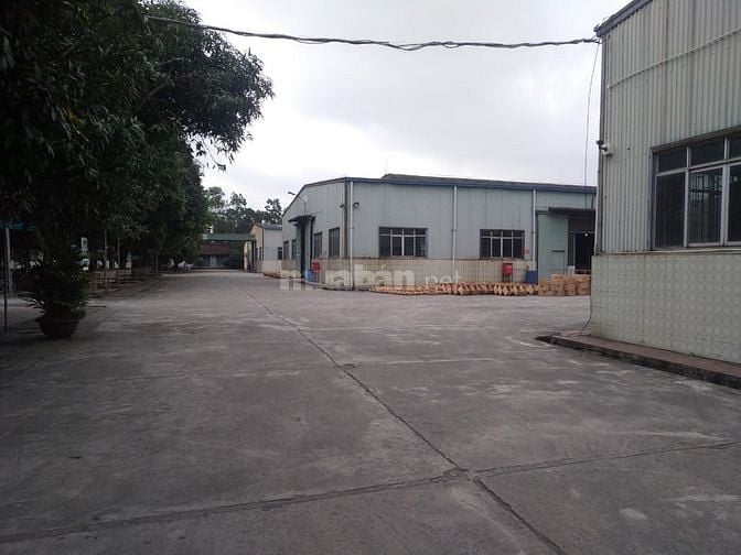 Cho thuê kho xưởng tại Phố Nối B Hưng Yên.DT đa dạng từ 500 đến 8000m2 58988002 Cho thuê kho xưởng tại Phố Nối B Hưng Yên.DT đa dạng từ 500 đến 8000m2