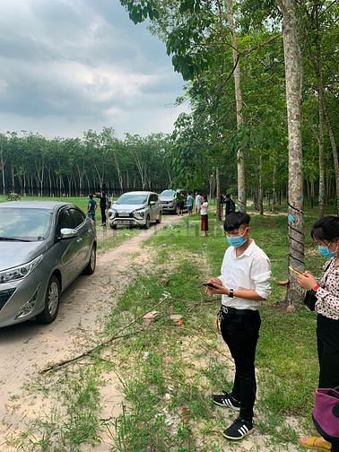 Đất Dầu tiếng xã định an thông 59028997 Đất Dầu tiếng xã định an thông