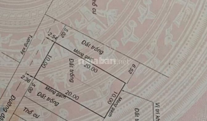 Bán đất HXH 6m Lê Trọng Tấn, Tây Thạnh, DT 10mx20m,sổ hồng vuông200m2 59042541 Bán đất HXH 6m Lê Trọng Tấn, Tây Thạnh, DT 10mx20m,sổ hồng vuông200m2