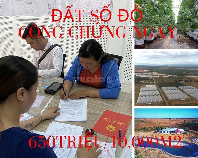 Đất sổ Đỏ sang tên công chứng ngay giá chỉ 65k/m2 59100248 Đất sổ Đỏ sang tên công chứng ngay giá chỉ 65k/m2