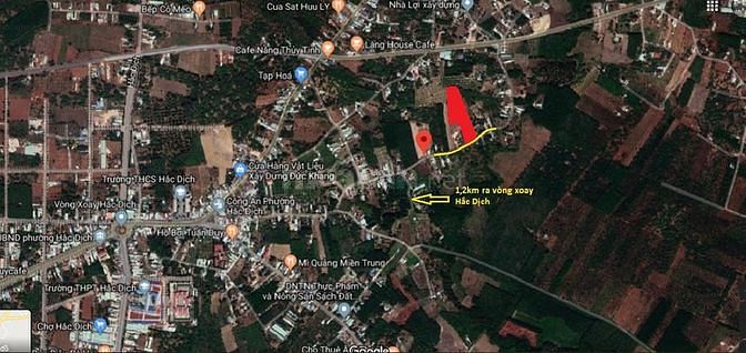 Bán Lô đất 7828 m2 , xã Hắc dịch, Tân Thành, Bà rịa vũng tàu . 59111364 Bán Lô đất 7828 m2 , xã Hắc dịch, Tân Thành, Bà rịa vũng tàu .