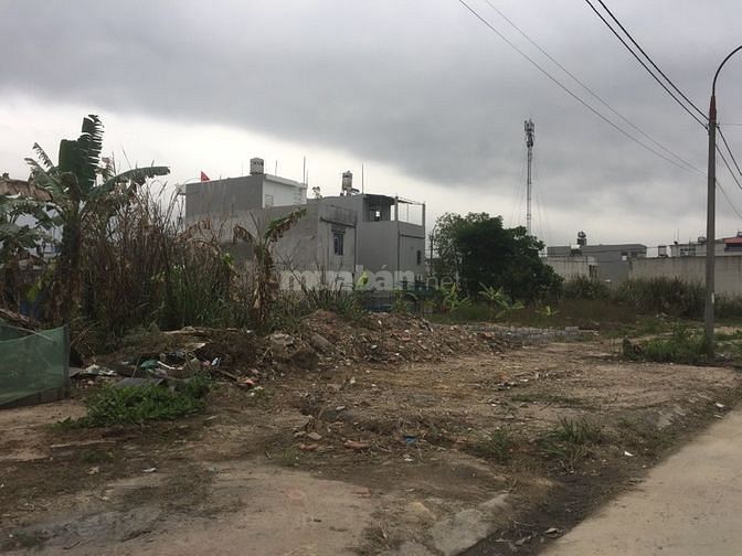 Bán đất mặt tiền 8.5m mặt đường World bank gần Vinmec Hải Phòng 59140090 Bán đất mặt tiền 8.5m mặt đường World bank gần Vinmec Hải Phòng