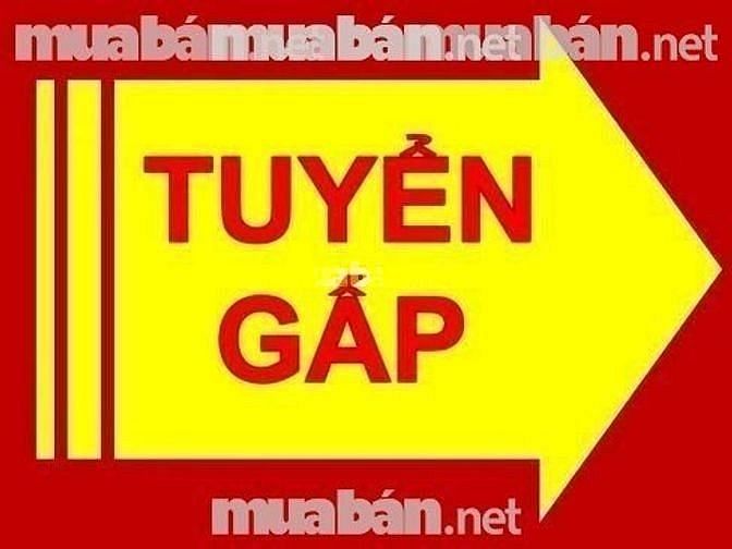 Siêu Thị - tuyển 02 Nam/nữ - sắp xếp hàng và bán hàng. 59141886 Siêu Thị - tuyển 02 Nam/nữ - sắp xếp hàng và bán hàng.