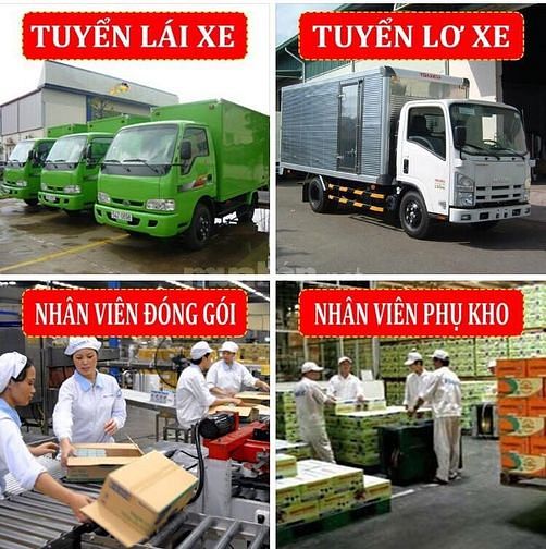 GIA LAI ==> Cần Gấp 10 Nam Tài Xế Lơ Xe và 20 Phụ Kho 59157823 GIA LAI ==> Cần Gấp 10 Nam Tài Xế Lơ Xe và 20 Phụ Kho