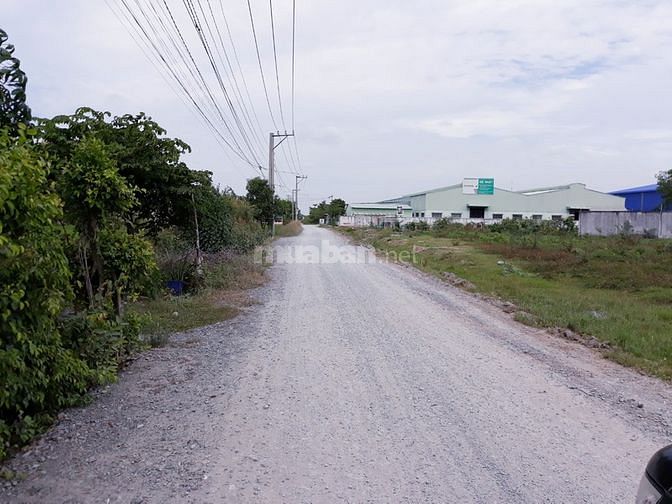 Bán nền Thổ cư 9x22.2m, 200m2, đường 8m,Tân Bửu, Bến Lức, 2.3 tỷ. 58840846 Bán nền Thổ cư 9x22.2m, 200m2, đường 8m,Tân Bửu, Bến Lức, 2.3 tỷ.