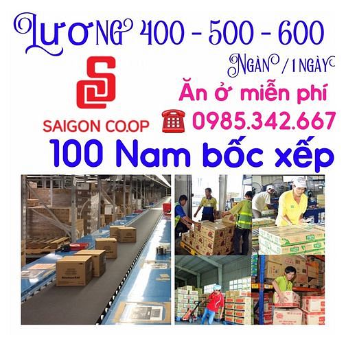 Tuyển gấp - phụ xe - bốc xếp - TÀI XẾ 52307201 Tuyển gấp - phụ xe - bốc xếp - TÀI XẾ
