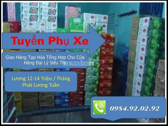 Tuyển Việc Làm Thời Vụ Lương 16 Triệu / Tháng Ở Bù Đăng Bình Phước
