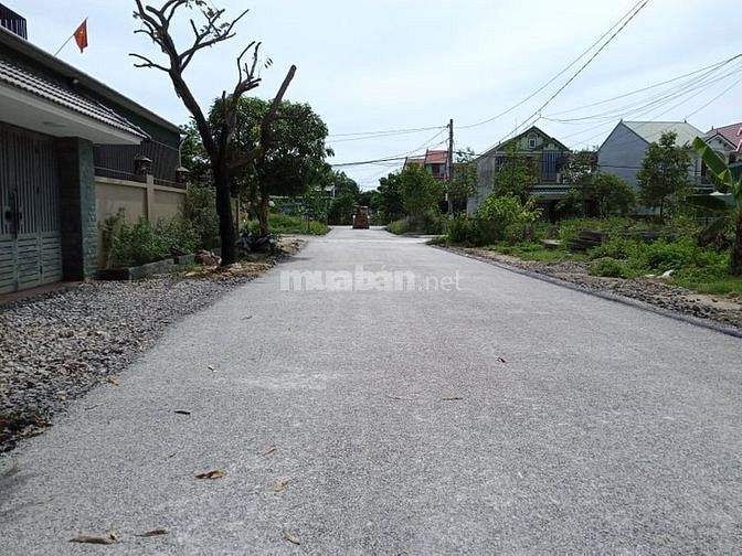 Cần bán gấp lô đất mặt tiền đường Lý Nhật Quang,Bến Thủy 59291942 Cần bán gấp lô đất mặt tiền đường Lý Nhật Quang,Bến Thủy
