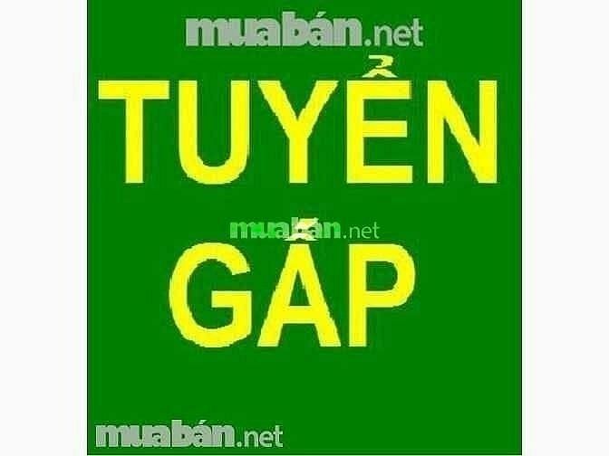 Tuyển nhân viên vp và lao động phổ thông tại Bình Dương 59316308 Tuyển nhân viên vp và lao động phổ thông tại Bình Dương