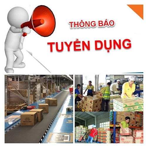 Tuyển Tài Xế Lơ Xe Và Nam Nữ lao động phổ thông và bốc xếp Lương 600k 46527671 Tuyển Tài Xế Lơ Xe Và Nam Nữ lao động phổ thông và bốc xếp Lương 600k