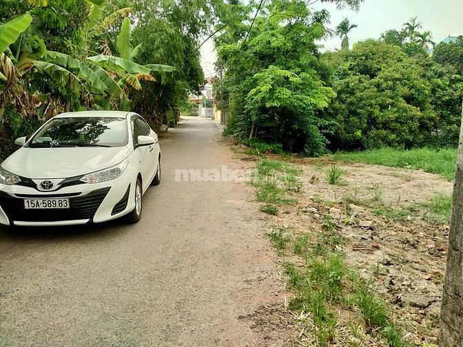 Cần chuyển nhượng lô đất thổ cư giá rẻ. 59439066 Cần chuyển nhượng lô đất thổ cư giá rẻ.