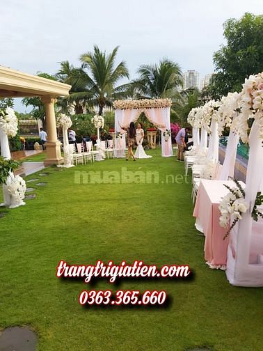 Cho thuê thảm cỏ nhân tạo giá rẻ nhất sài gòn 59447342 Cho thuê thảm cỏ nhân tạo giá rẻ nhất sài gòn