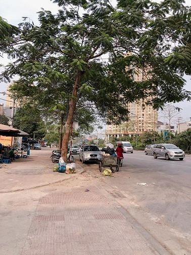 Bán 133m2 đất TT Thị Trấn Phùng, huyện Đan Phượng, Hà Nội, 59485019 Bán 133m2 đất TT Thị Trấn Phùng, huyện Đan Phượng, Hà Nội,