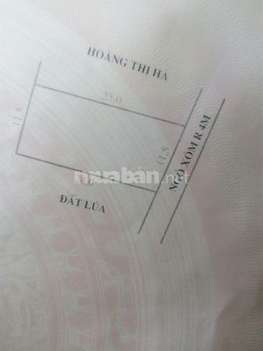 Bán Đất Thổ Cư Sổ Hồng Tại Ngọc Chử, Trường Thọ, An Lão, Hải Phòng 59504904 Bán Đất Thổ Cư Sổ Hồng Tại Ngọc Chử, Trường Thọ, An Lão, Hải Phòng