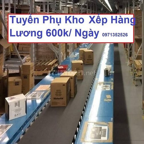 Tuyển nhân viên lao động phổ thông, Lơ Xe, làm tại hệ thông siêu thị 59514840 Tuyển nhân viên lao động phổ thông, Lơ Xe, làm tại hệ thông siêu thị