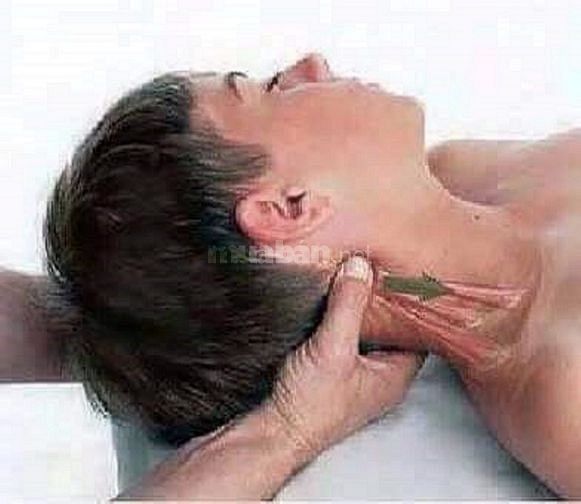 Chuyên Massage, bấm huyệt vùng cổ, vai, đầu chống mệt mỏi, chóng mặt 59529603 Chuyên Massage, bấm huyệt vùng cổ, vai, đầu chống mệt mỏi, chóng mặt