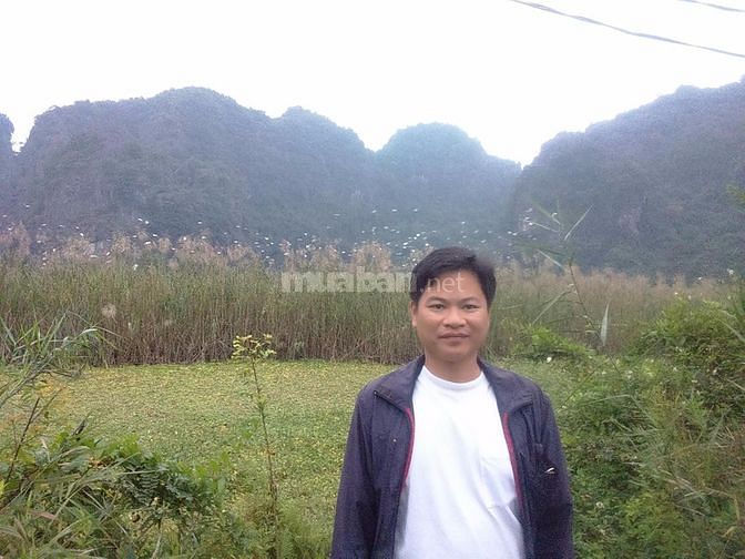 Tìm việc dạy tiếng Anh giao tiếp và dạy tại các trung tâm tiếng Anh