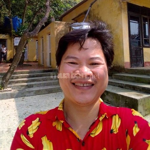 Tìm việc dạy tiếng Anh giao tiếp và dạy tại các trung tâm tiếng Anh