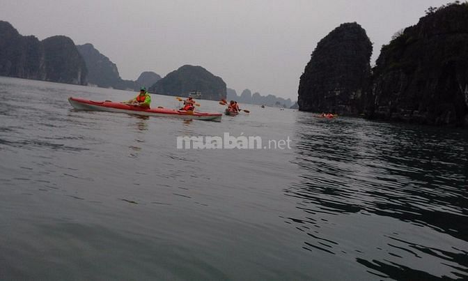 Tìm việc dạy tiếng Anh giao tiếp và dạy tại các trung tâm tiếng Anh