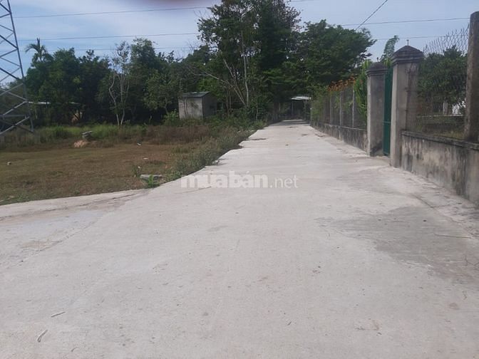 Chính Chủ Bán Đất Khu Cây Xăng Trường Xuân. Tp Tam Kỳ 59542735 Chính Chủ Bán Đất Khu Cây Xăng Trường Xuân. Tp Tam Kỳ