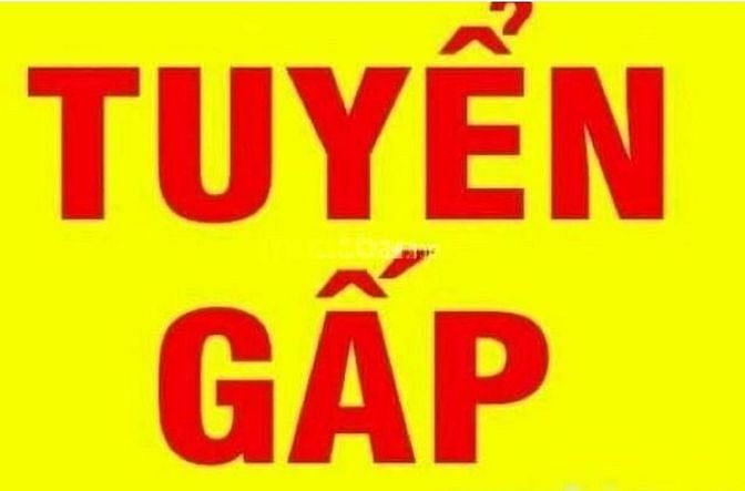 Cần tuyển Nam/Nữ theo dõi số liệu sản xuất, không cần kinh nghiệm 59552321 Cần tuyển Nam/Nữ theo dõi số liệu sản xuất, không cần kinh nghiệm