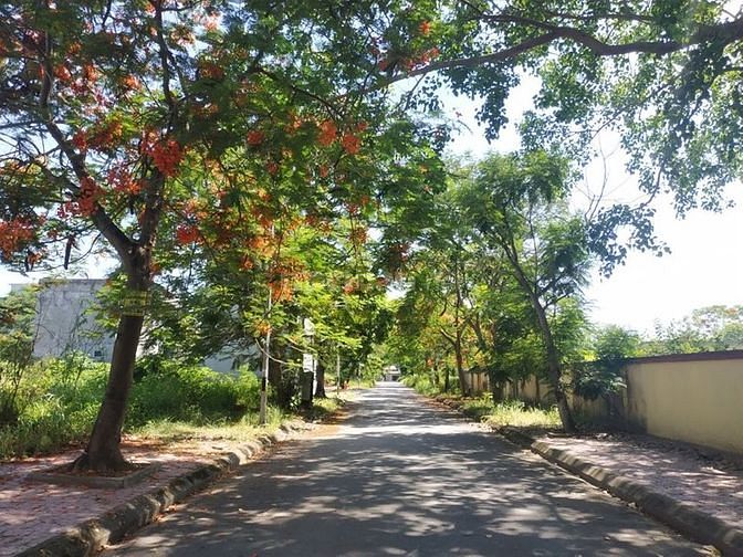 Bán lô đát giá đầu tư ngay gần bệnh viện giao thông vận tải 59574860 Bán lô đát giá đầu tư ngay gần bệnh viện giao thông vận tải