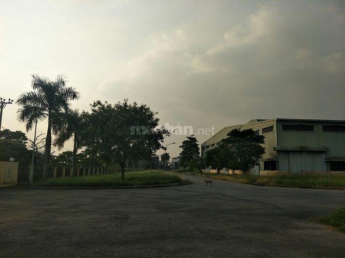 Bán 7000m2 đất công nghiệp ở An Lão, Hải Phòng 59588128 Bán 7000m2 đất công nghiệp ở An Lão, Hải Phòng