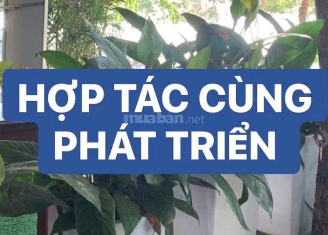Cần hợp tác với ace môi giới bất động sản 59610939 Cần hợp tác với ace môi giới bất động sản