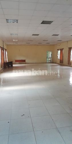 Cần cho thuê nhà làm văn phòng, kho, xưởng..tại đường trường Chinh 59683274 Cần cho thuê nhà làm văn phòng, kho, xưởng..tại đường trường Chinh