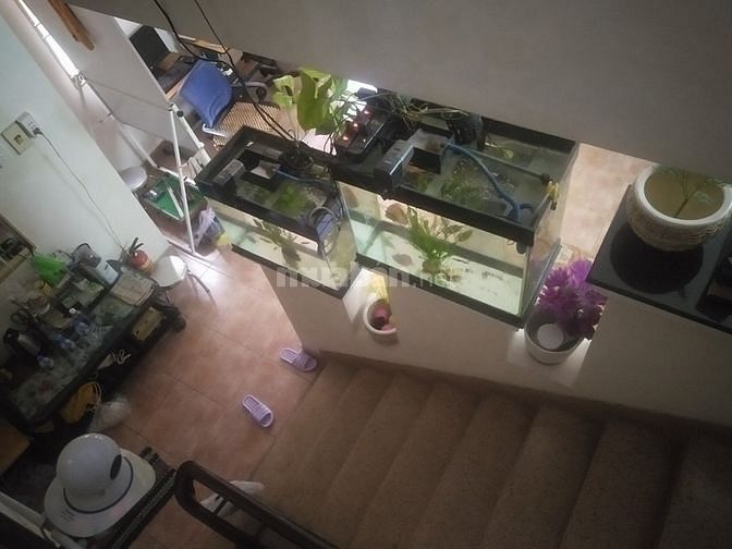 Nhà to hai măt tiền hẻm Thích Quảng Đức,P3,PN mua đất thôi cũng lời 59878304 Nhà to hai măt tiền hẻm Thích Quảng Đức,P3,PN mua đất thôi cũng lời
