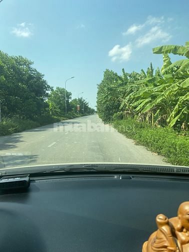 Mình cần mua đất khu vực xã Kim Sơn, Dương Xá, Lệ Chi 59886166 Mình cần mua đất khu vực xã Kim Sơn, Dương Xá, Lệ Chi