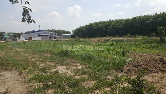 Nhà có lô đất 2000m2 bán gấp sau lưng khu công nghiệp Becamex 59913506 Nhà có lô đất 2000m2 bán gấp sau lưng khu công nghiệp Becamex