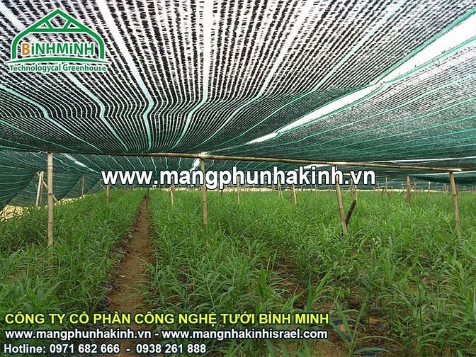 Lưới cắt nắng, hệ thống lưới cắt nắng, lưới che nắng thái lan 59943220 Lưới cắt nắng, hệ thống lưới cắt nắng, lưới che nắng thái lan