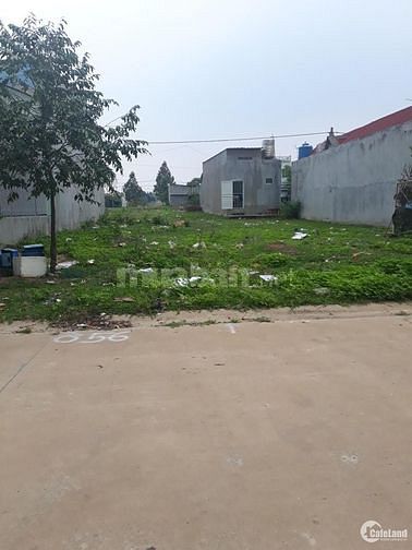 Kẹt tiền bán lỗ lô đất thổ cư 350m2 ngay khu TĐC Becamex, SHR giá450tr 59940028 Kẹt tiền bán lỗ lô đất thổ cư 350m2 ngay khu TĐC Becamex, SHR giá450tr