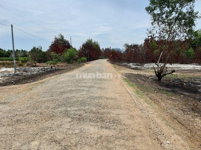 Đất chính chủ MT đương nhựa hiện hữu DT709, ra Biển 2 phút