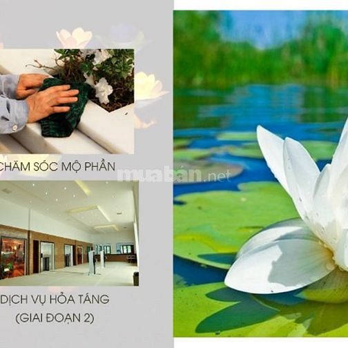 Đã có bảng giá chính thức chỉ từ 6tr.m2 60009167 Đã có bảng giá chính thức chỉ từ 6tr.m2