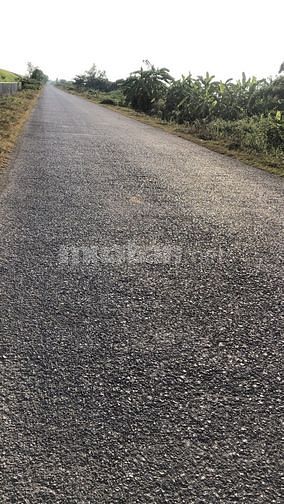 Bán lô đất Minh Tân - Kiến Thuỵ diện tích 338m2, giá thoả thuận 60076403 Bán lô đất Minh Tân - Kiến Thuỵ diện tích 338m2, giá thoả thuận