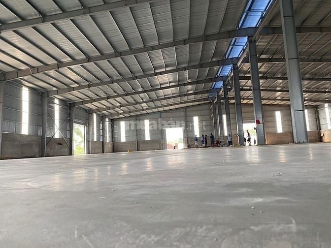 Chính chủ cho thuê kho xưởng 500m2 - 5000m2 Hải Phòng 60097074 Chính chủ cho thuê kho xưởng 500m2 - 5000m2 Hải Phòng