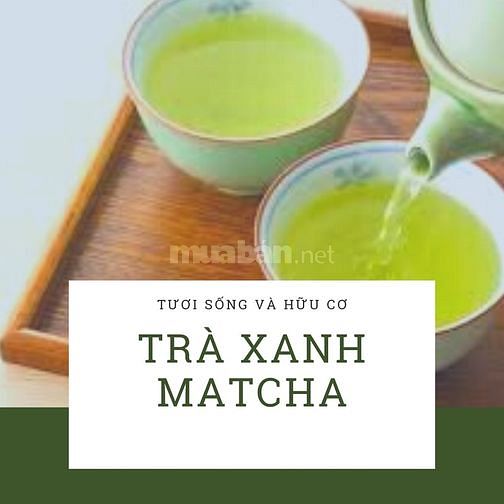 Tuyển thêm nhân viên bán cà phê tại cửa hàng 60247387 Tuyển thêm nhân viên bán cà phê tại cửa hàng