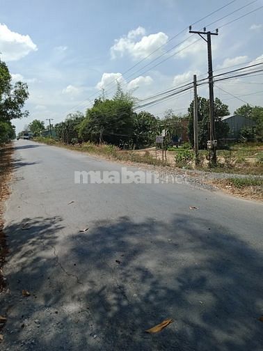 Bán 4,5ha Đất Mặt Tiền Đường Tỉnh Lộ 867 - Xã Thạnh Mỹ