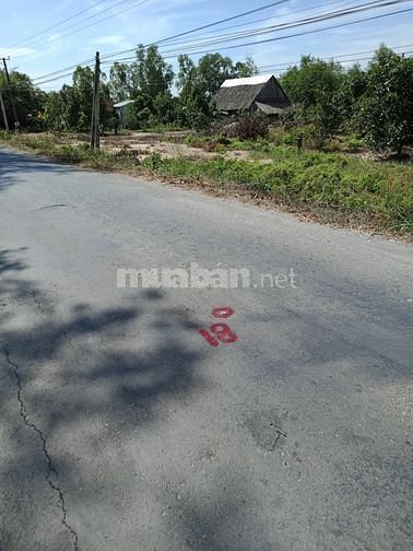 Bán 4,5ha Đất Mặt Tiền Đường Tỉnh Lộ 867 - Xã Thạnh Mỹ